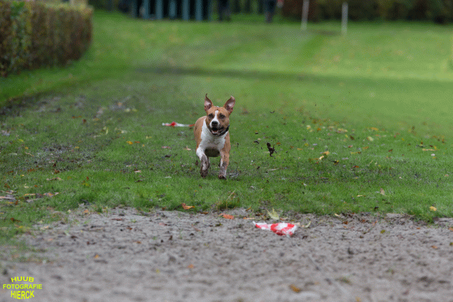 Ct3Q8612 37630154380 O