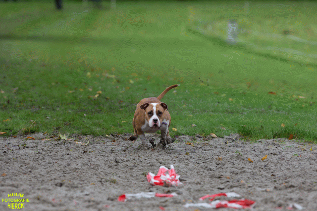 Ct3Q8602 37630154770 O