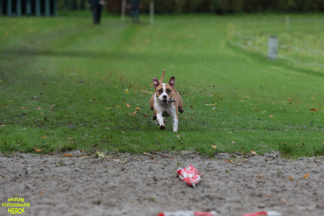 Ct3Q8598 37838824796 O