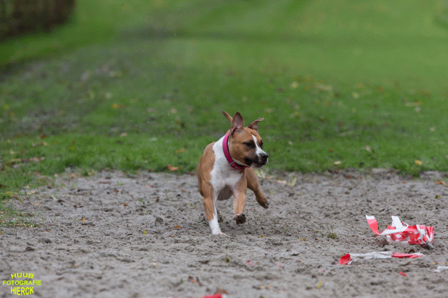 Ct3Q8595 37838825126 O