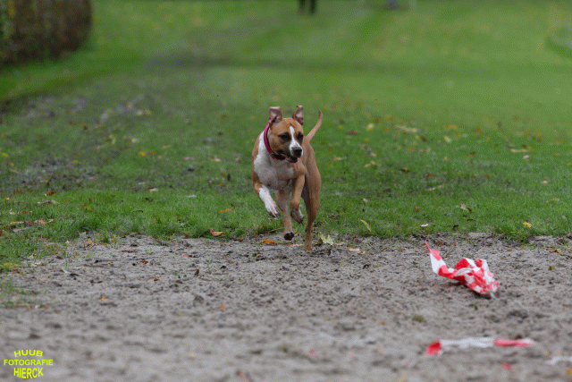 Ct3Q8591 37838825326 O