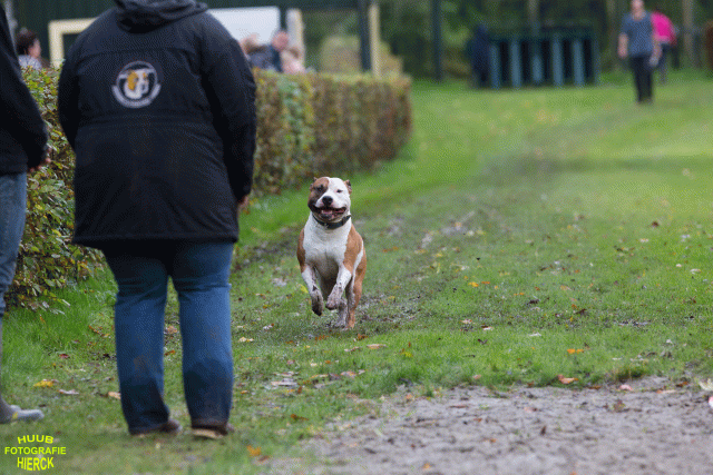 Ct3Q8566 37838826516 O