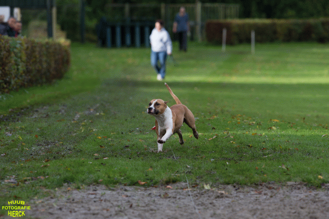 Ct3Q8563 37838826616 O