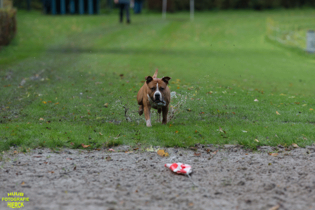 Ct3Q8530 37838828386 O