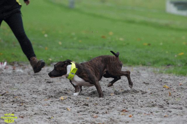 Ct3Q8508 37838829346 O