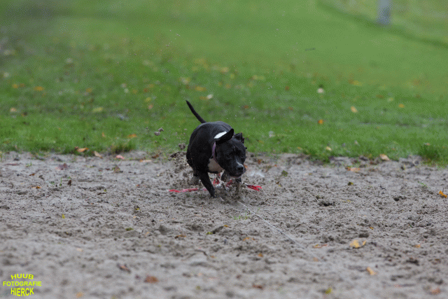 Ct3Q8505 37838829436 O