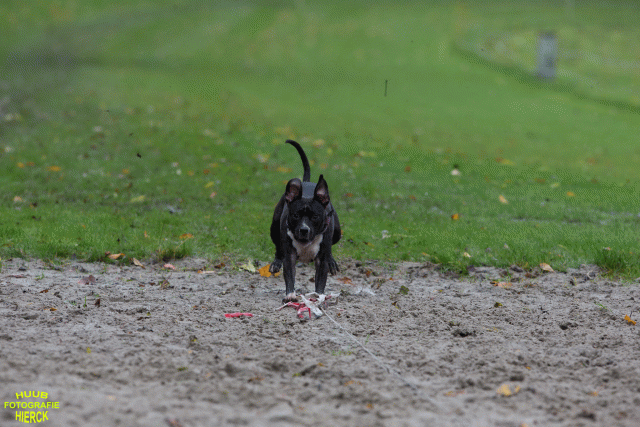 Ct3Q8502 37838829596 O