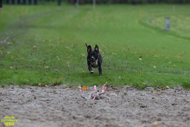 Ct3Q8499 37838829696 O