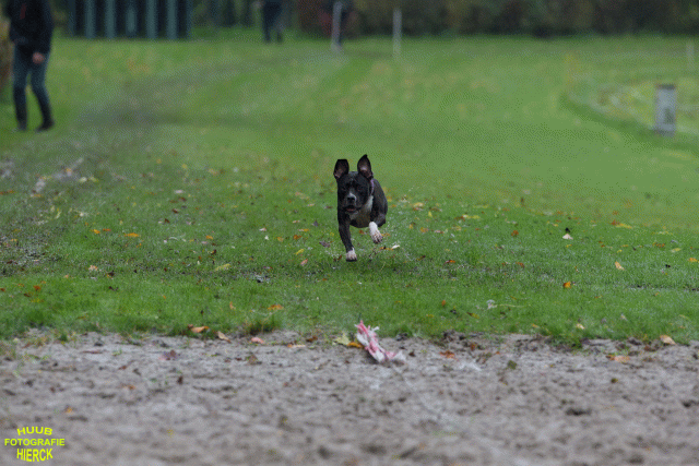 Ct3Q8496 37838829766 O