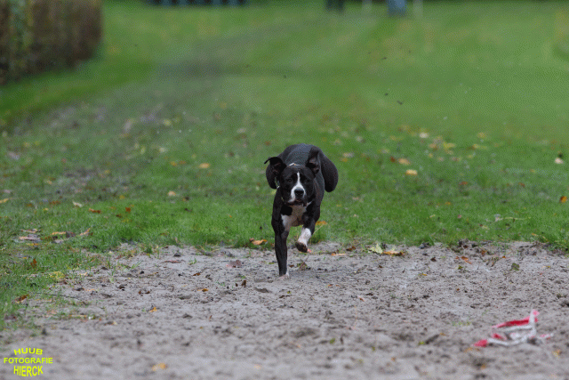 Ct3Q8493 37838829866 O