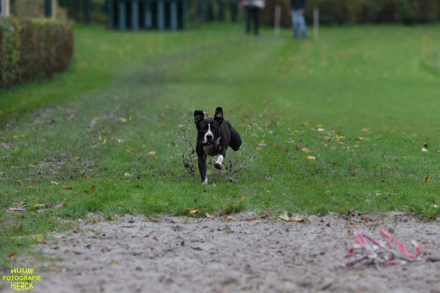 Ct3Q8490 37838829966 O