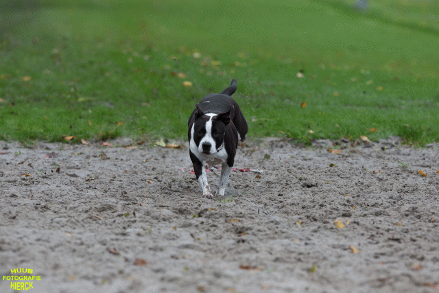 Ct3Q8487 37838830056 O