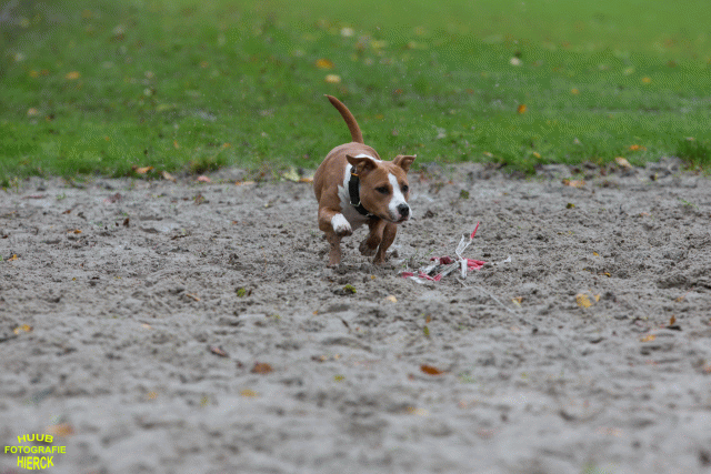 Ct3Q8481 37838830276 O