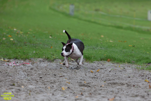 Ct3Q8478 37838830366 O