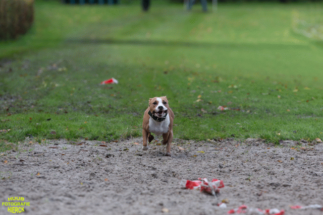 Ct3Q8706 37838843076 O