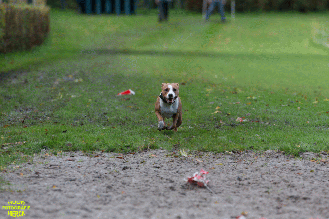 Ct3Q8703 37838843126 O