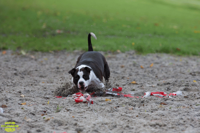 Ct3Q8698 37838843246 O