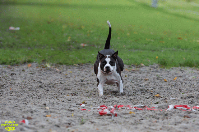 Ct3Q8695 37838843356 O