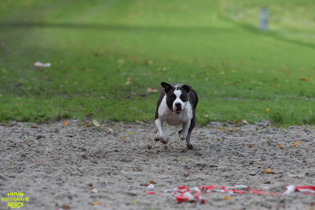 Ct3Q8693 37838843426 O