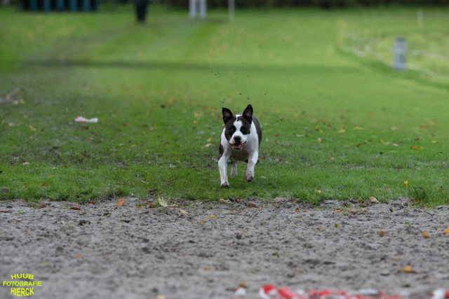 Ct3Q8688 37838843586 O