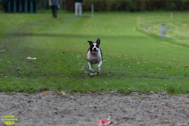 Ct3Q8684 37838843726 O