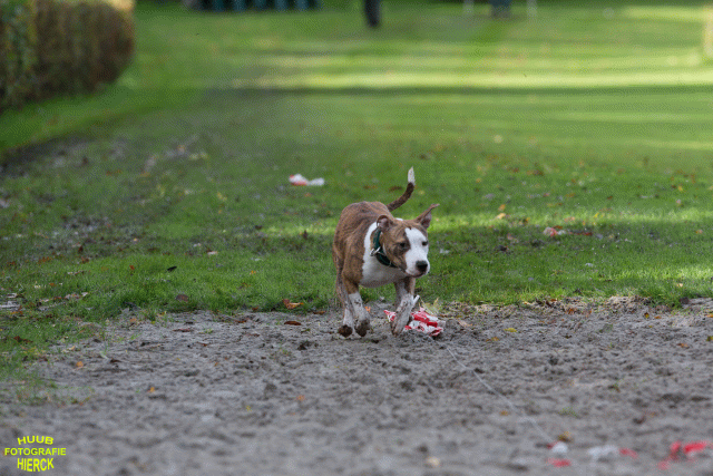 Ct3Q8680 37838843896 O