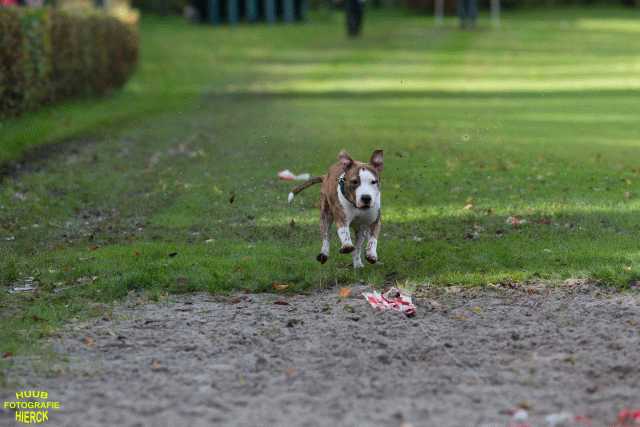 Ct3Q8677 37838844066 O