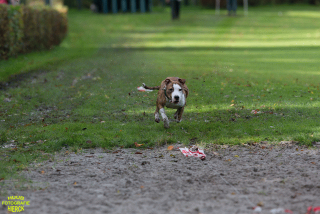 Ct3Q8676 37838844106 O