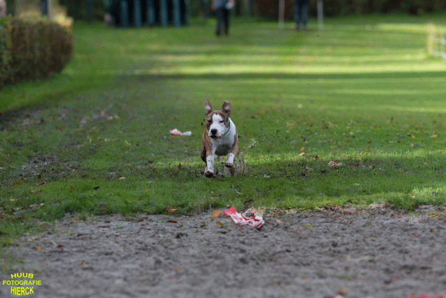 Ct3Q8674 37838844236 O