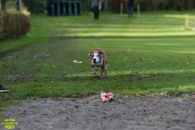 Ct3Q8673 37838844276 O