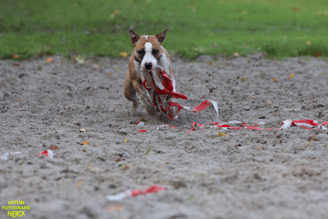 Ct3Q8671 37838844416 O