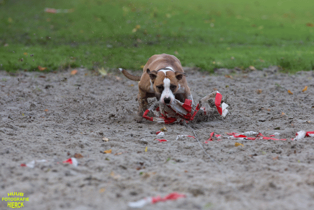 Ct3Q8670 37838844466 O