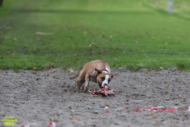 Ct3Q8668 37838844606 O