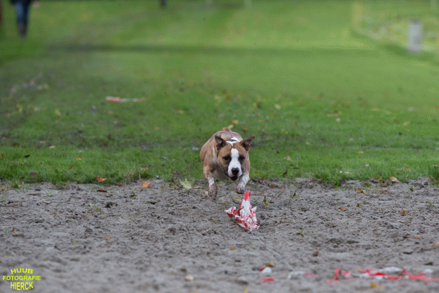 Ct3Q8666 37838844796 O