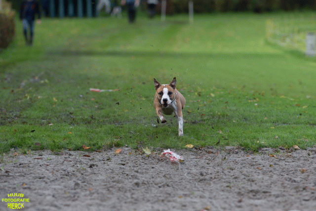 Ct3Q8663 37838845156 O