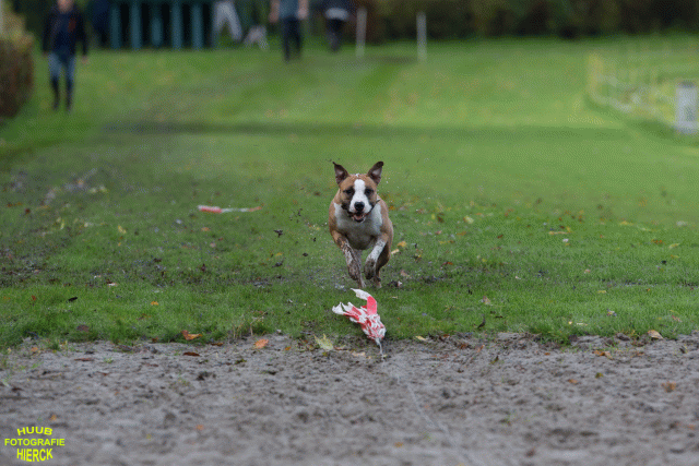 Ct3Q8662 37838845226 O