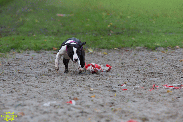 Ct3Q8658 37838845696 O