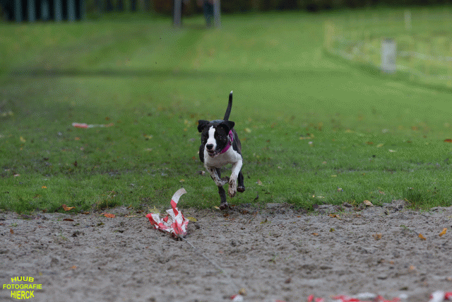 Ct3Q8652 37838846136 O