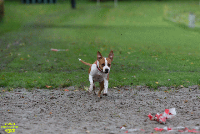 Ct3Q8641 37838847116 O