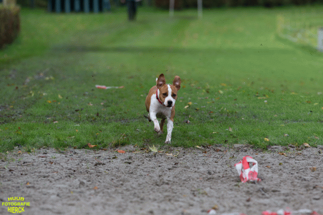 Ct3Q8638 37838847426 O