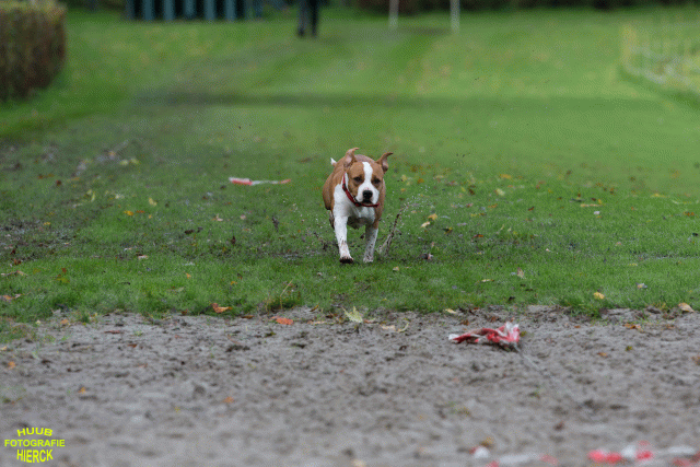 Ct3Q8635 37838847726 O