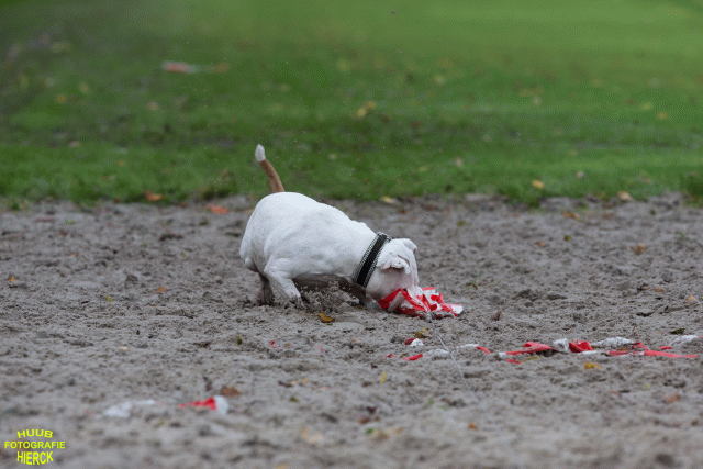 Ct3Q8633 37838847976 O