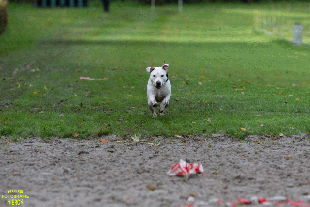 Ct3Q8622 37838849236 O