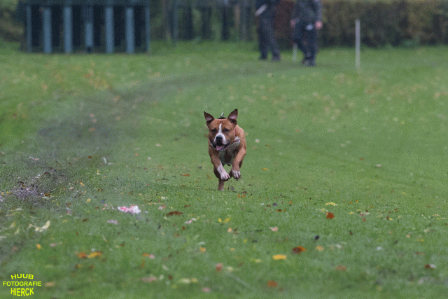 Ct3Q8392 37855915992 O