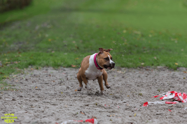 Ct3Q8596 37855961152 O