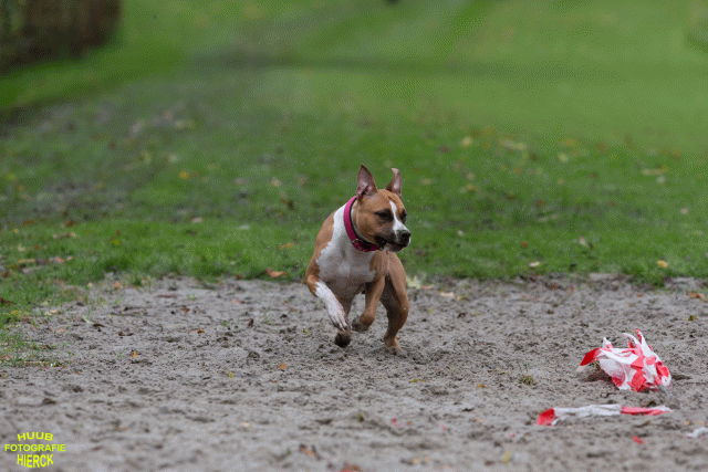 Ct3Q8594 37855961362 O