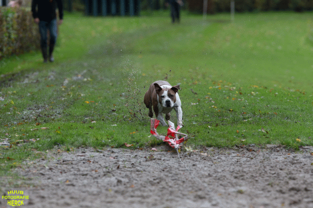 Ct3Q8578 37855962632 O