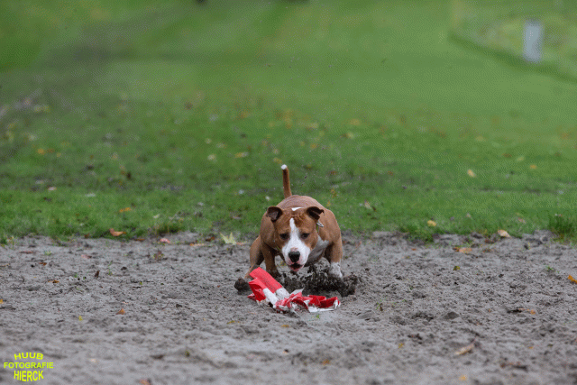 Ct3Q8575 37855962812 O