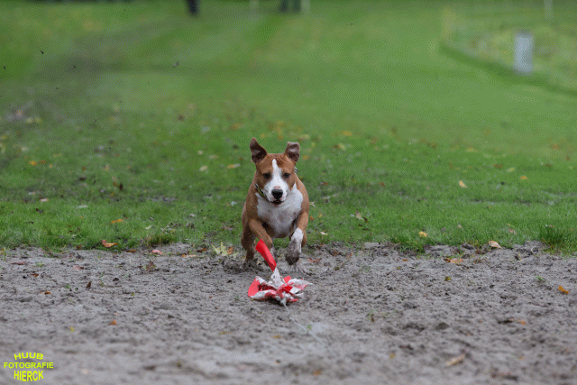 Ct3Q8573 37855962992 O