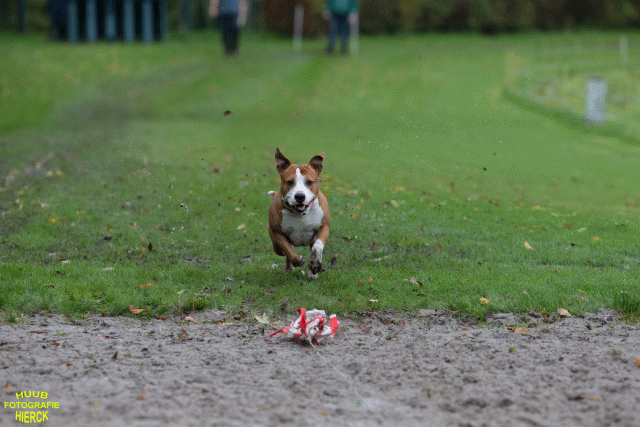 Ct3Q8570 37855963162 O